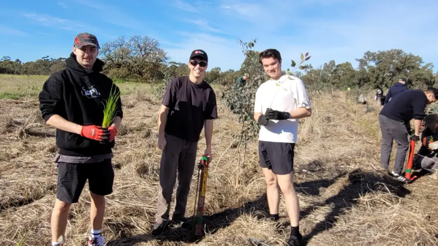 Trillion trees planting july29 2026 12