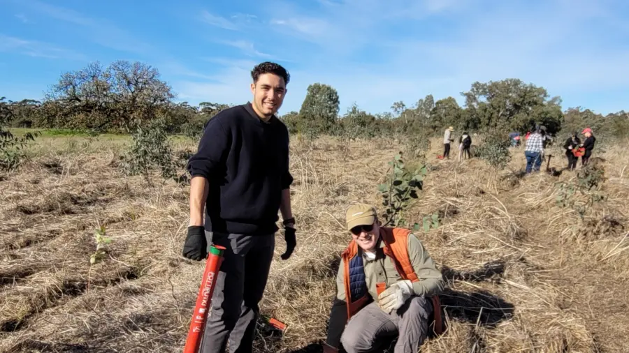 Trillion trees planting july29 2026 11