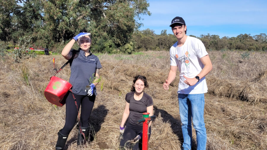 Trillion trees planting july29 2026 01