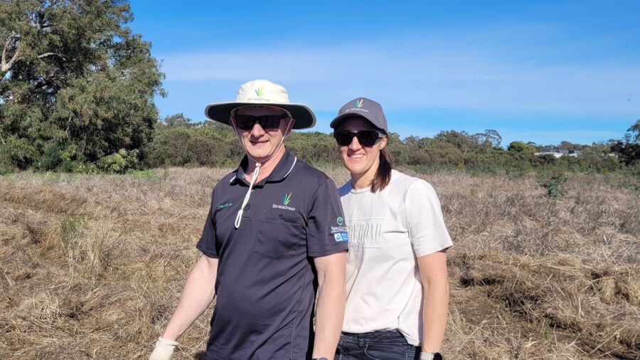 Trillion trees planting july29 2026 02