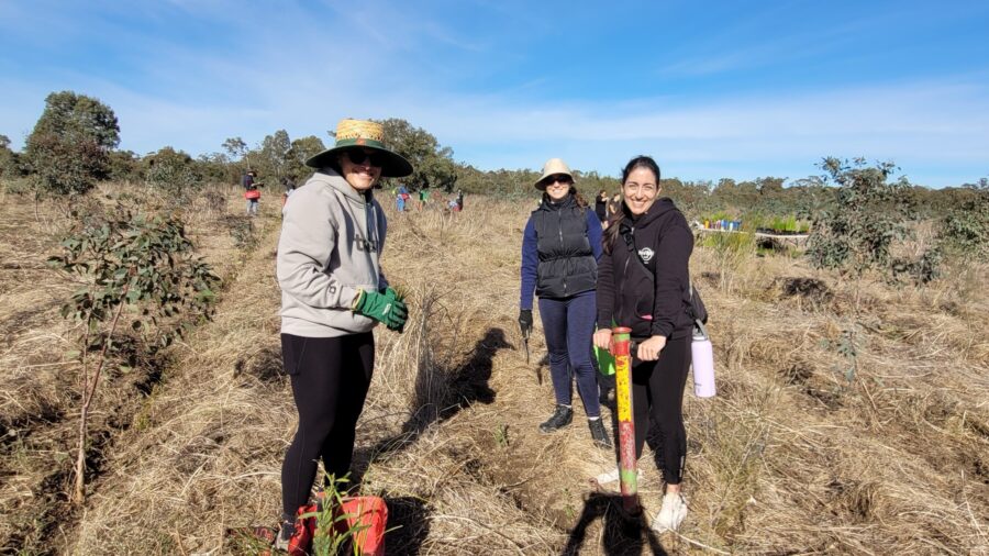Trillion trees planting july29 2026 07