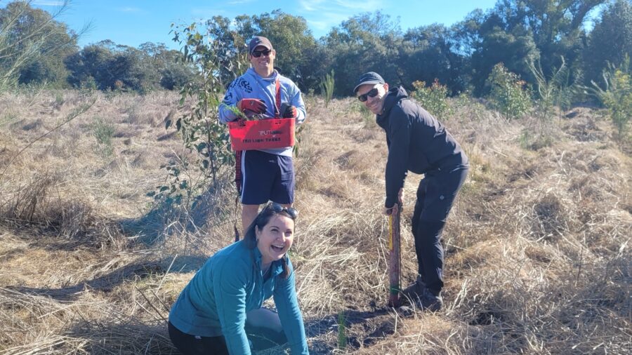 Trillion trees planting july29 2026 10