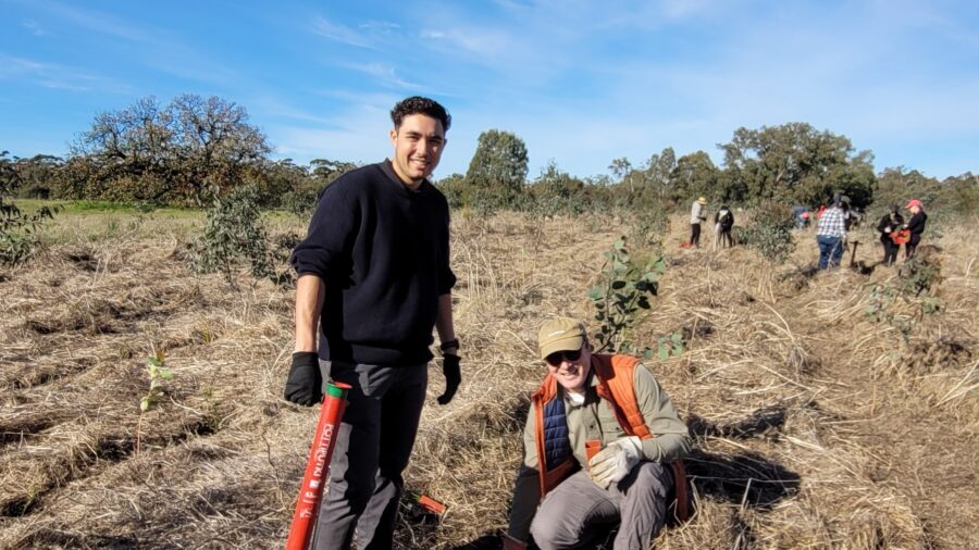 Trillion trees planting july29 2026 11