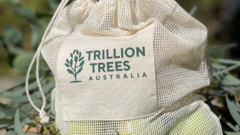 Produce bag