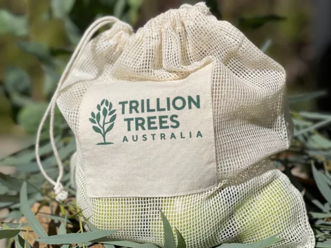 Produce bag