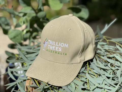 Cap