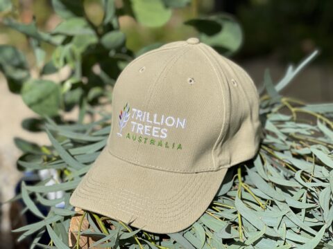 Cap