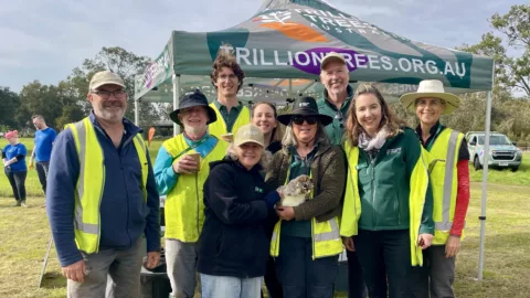 Volunteers and staff at community planting day