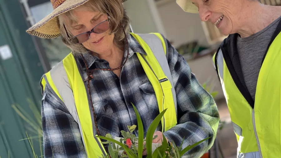 City of Swan plants4