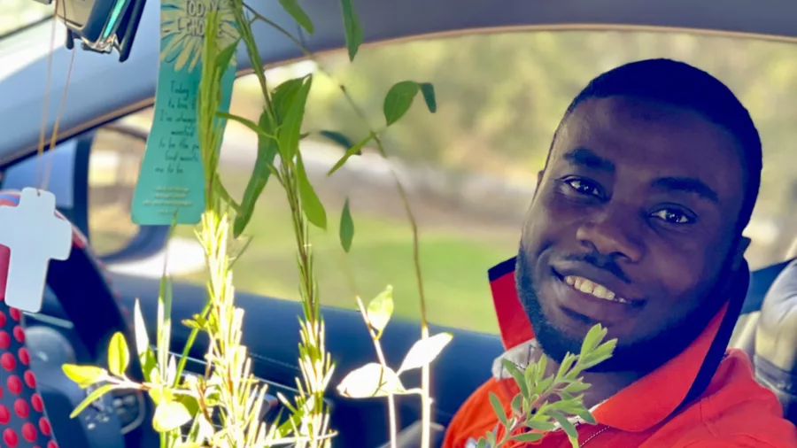 City of Swan plants7