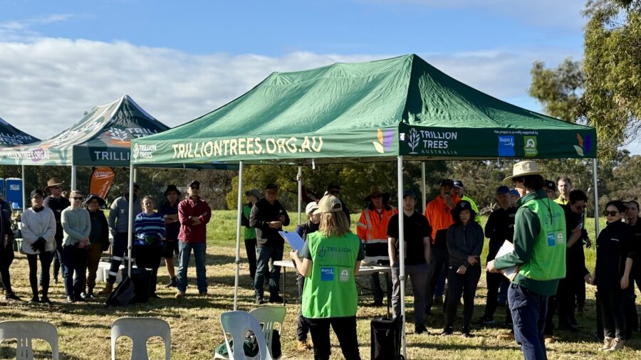 IMG 1309